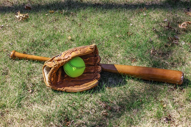 Softball bat glove and ball.