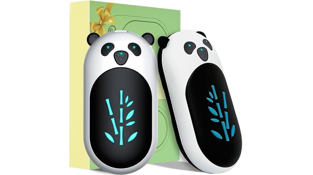 dual rechargeable pocket heaters