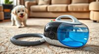 top pet friendly portable carpet cleaners