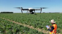 drone safety and etiquette