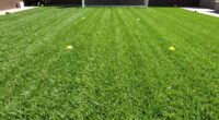 top artificial turf options