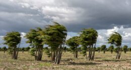 understanding wind stability conditions