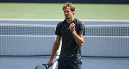 'Flawless' Zverev has Fritz's number at last