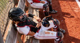 14 Best Softball Catcher's Gear Sets for 2026